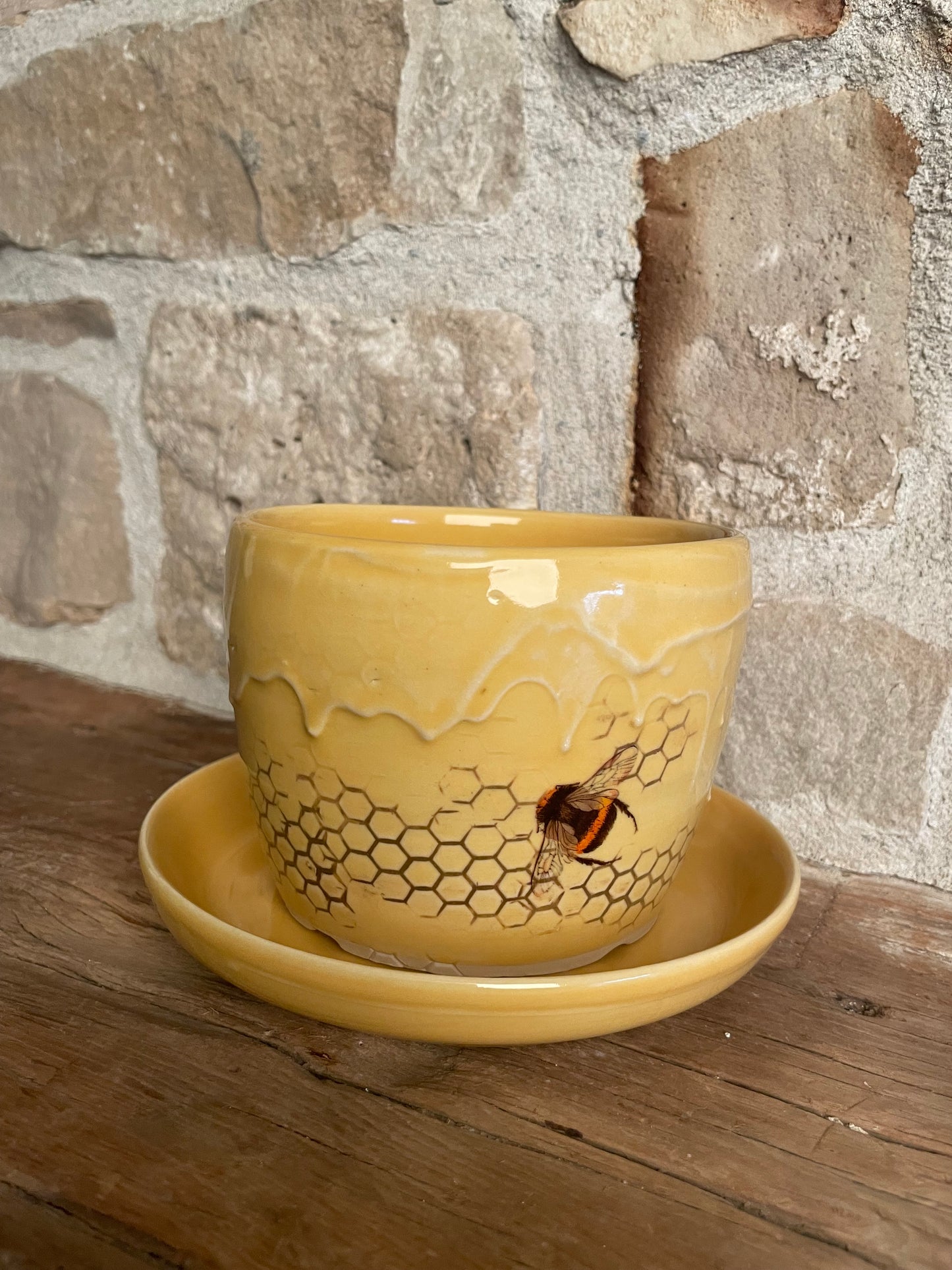 "Sweet As Can Bee" Planter