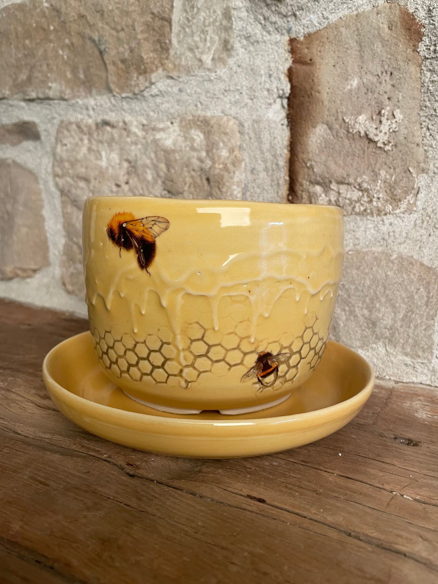 "Sweet As Can Bee" Planter