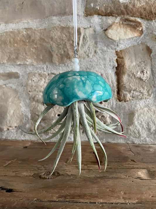 Jelly Fish Air Plant Holder